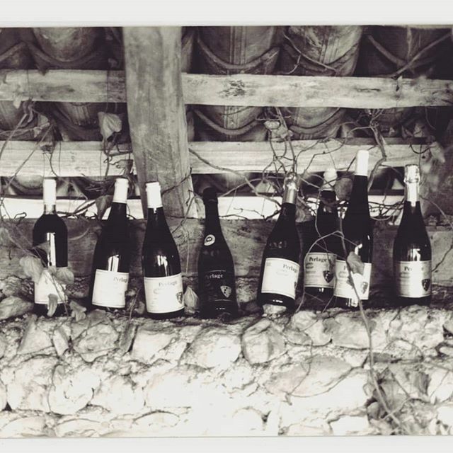 Perlagewinery's tweet photo. Organic since 1985 #organicProsecco #organicwine #winelovers #naturelovers #sustainability https://t.co/x8gkHY2RwG https://t.co/EgI0ukAVQB