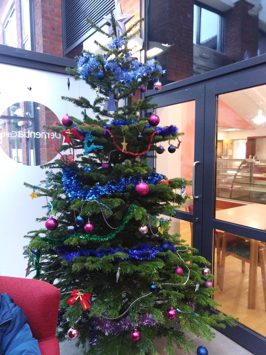 DementiaMattuk's tweet photo. Our Christmas Trees are up over at The Bradbury Centre thanks to our staff, service users, and some volunteers from @brewindolphin! The countdown begins... https://t.co/unVDxf8UmM