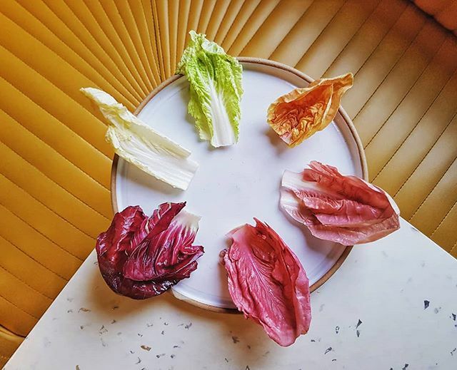 Winter leaves kimchi palette. 
Using up winter leaves in a few of our Cub kimchis. The leaves get salted and tossed with a puree of pears, apples, leftover leek stems, garlic, Baniwa chilli (from <a href="/socioambiental/">socioambiental</a> Brasil) and other herbs and spices for our takes on kimchi.

#f…