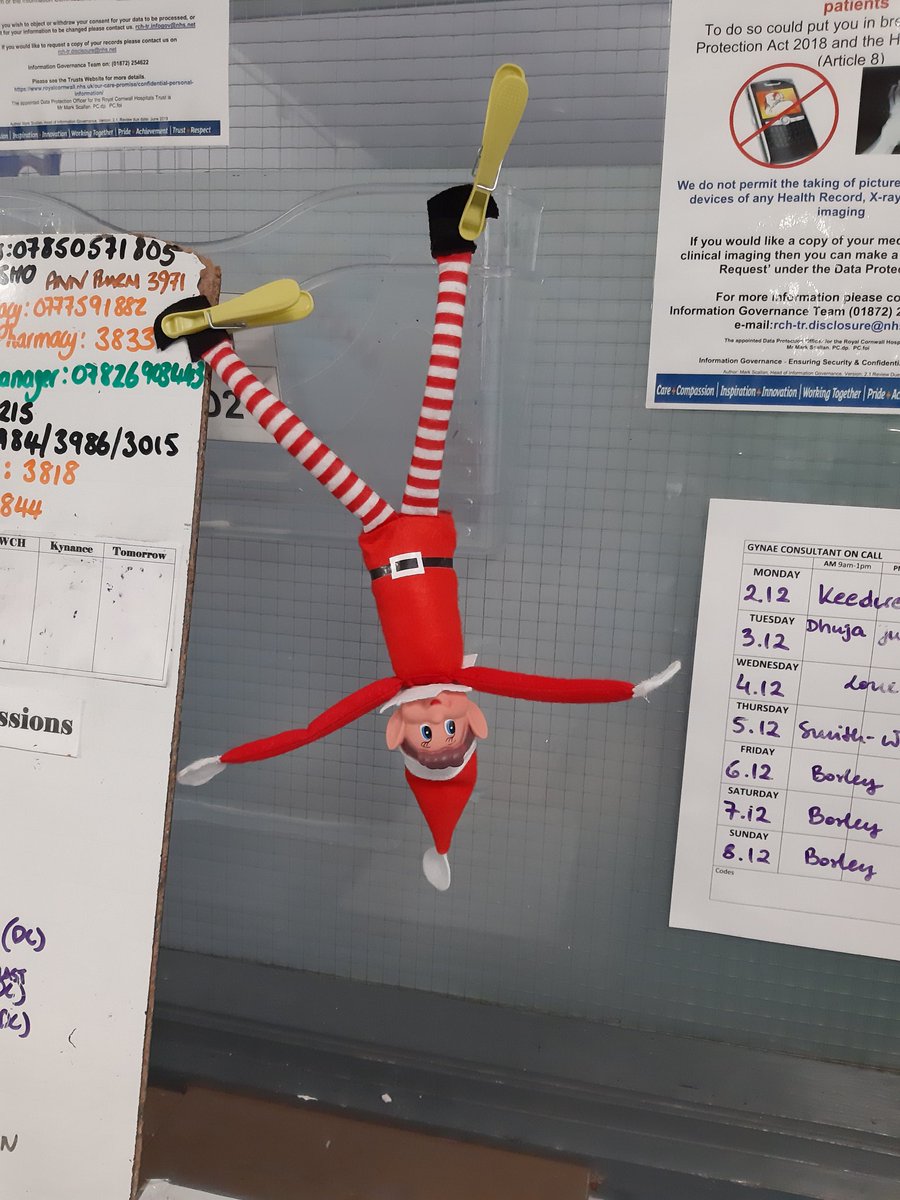 It's starting to look a lot like xmas on Eden ward. <a href="/RCHTWeCare/">Royal Cornwall Hospitals NHS Trust</a> We seem to have acquired a naughty elf as well. Wonder what mischief he will get up to??? #hospitalxmas #xmasdecorations #naughtyelf