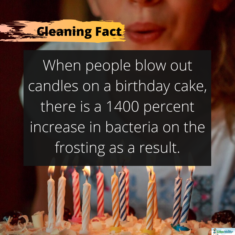 value_maids's tweet photo. #CleaningFact: When people blow out candles on a birthday cake, there is a 1400 percent increase in bacteria on the frosting as a result. Check out more the cleaning facts about germs here: https://t.co/u1llQgYI9l
#cleaningfactsgerms #germsfacts https://t.co/E4KGdjYNV4