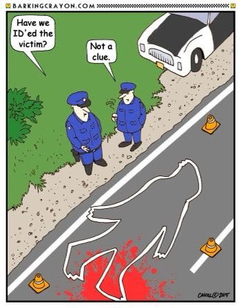 sasysquatchgirl's tweet photo. I thought Iβd start off today with another funny. Hope the work day is flying by so far...
#bigfoot #humor #cryptids #bigfoothumor #lookout #bigfootsightings #trafficsafety https://t.co/0VM8qKKVHD
