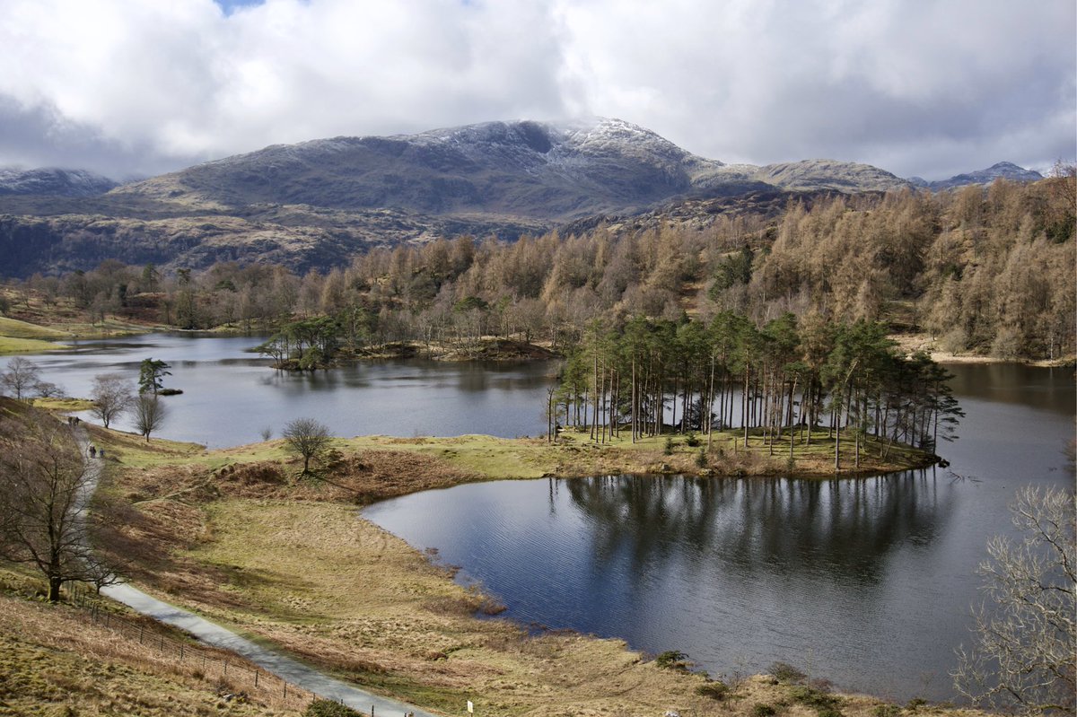 Yoga Hikes tweet media