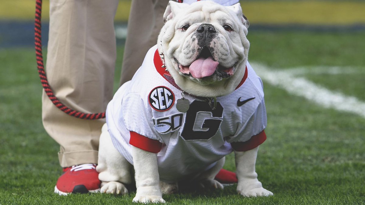 The best boy.

#GoDawgs