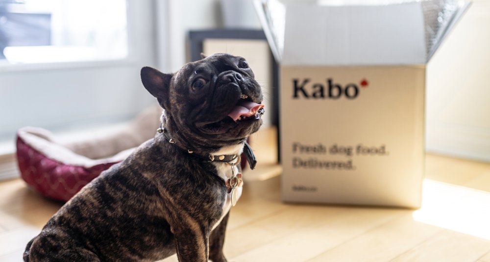 Win a year’s supply of dog food from #Kabo valued at $2000 in <a href="/DailyHiveVan/">Daily Hive Vancouver</a>’s annual #DH12Days  RT to enter!