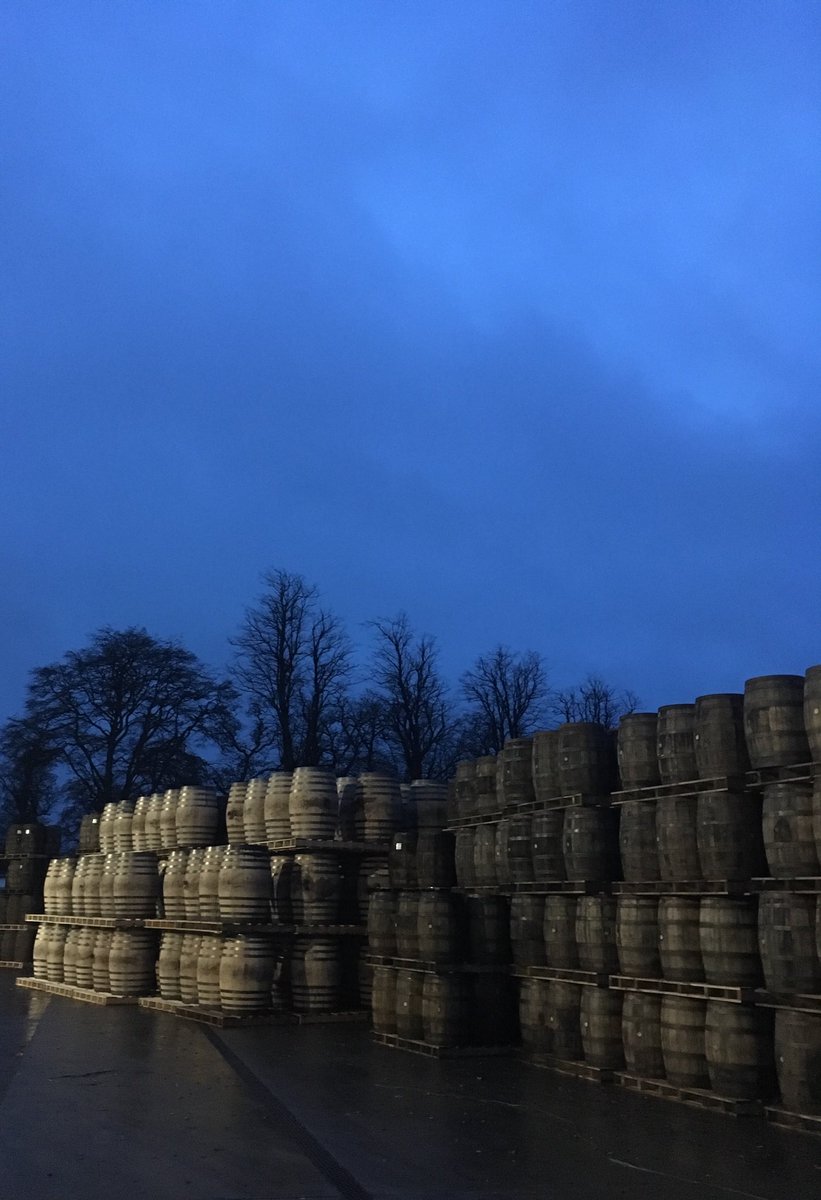 leepowerryan's tweet photo. #sherry #butts #beauts itโs going to be a very busy December!! #irishspirit #irishwhiskey #irishwhisky๐#singlepot #singlemalt #singlegrain #irishblend https://t.co/QfNr1NdiiG