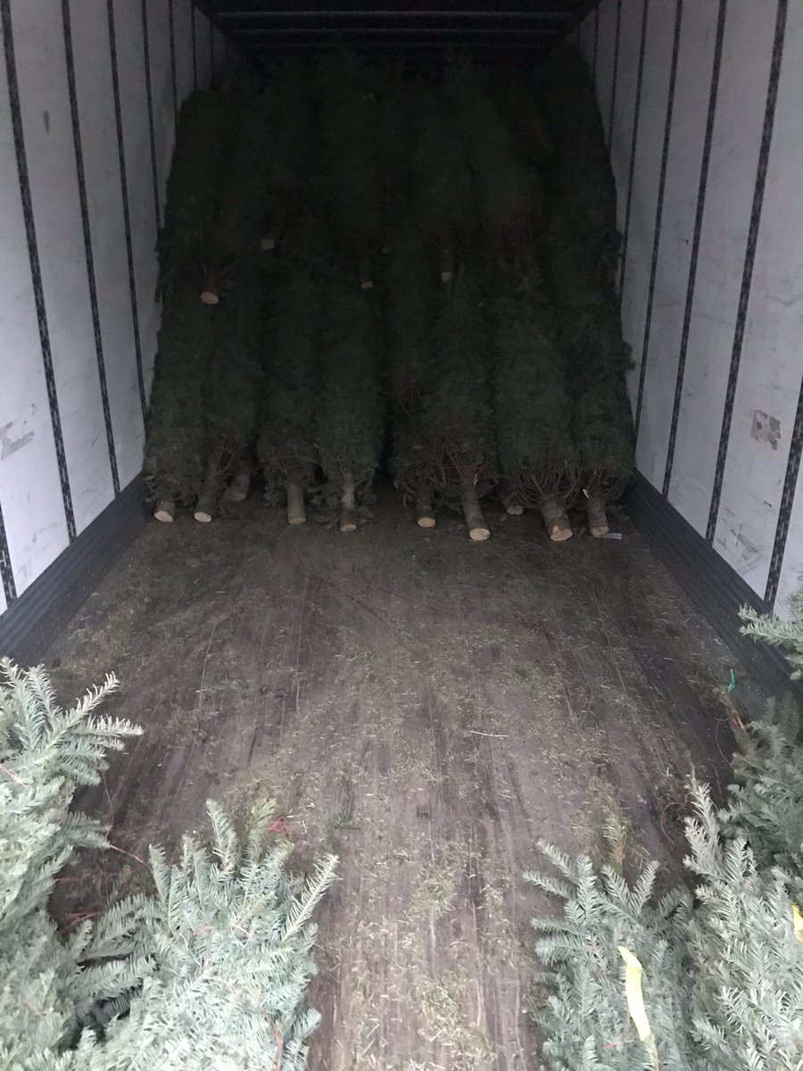john_thd's tweet photo. #Alwaysredi for more trees. #HD4723 can handle it! Thanks Daniel, Victor, Ty, Jim, &amp; Kyle! #flippingforsafety @AngelaR118 @thddavesmith @dapa_dix @thdSimone_Scott https://t.co/DzbQaAz0TI