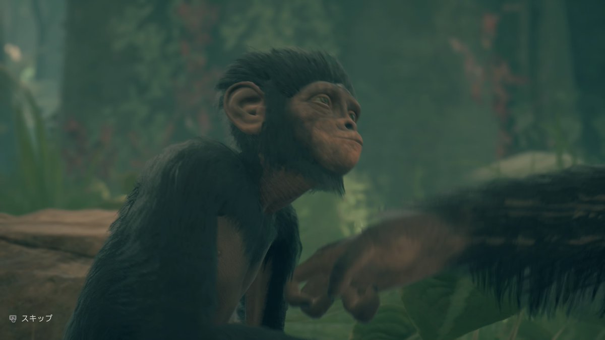 アンセスターズ