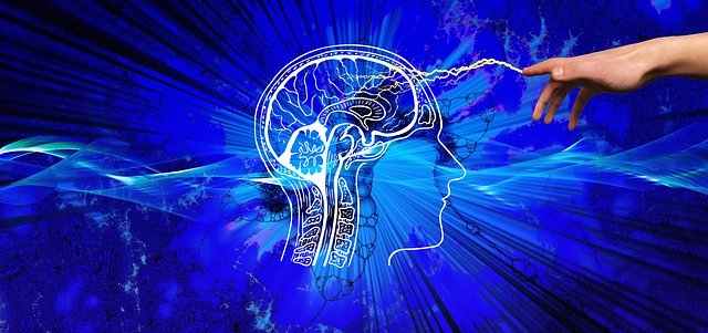 talentseekerUK's tweet photo. Neurodiversity should be far more common in the workplace, embrace individuality!
#neurodiversity #hr #humanresources #recruitment #hrarticle
https://t.co/dZyi6BVEGk https://t.co/WfjVaQPFLw