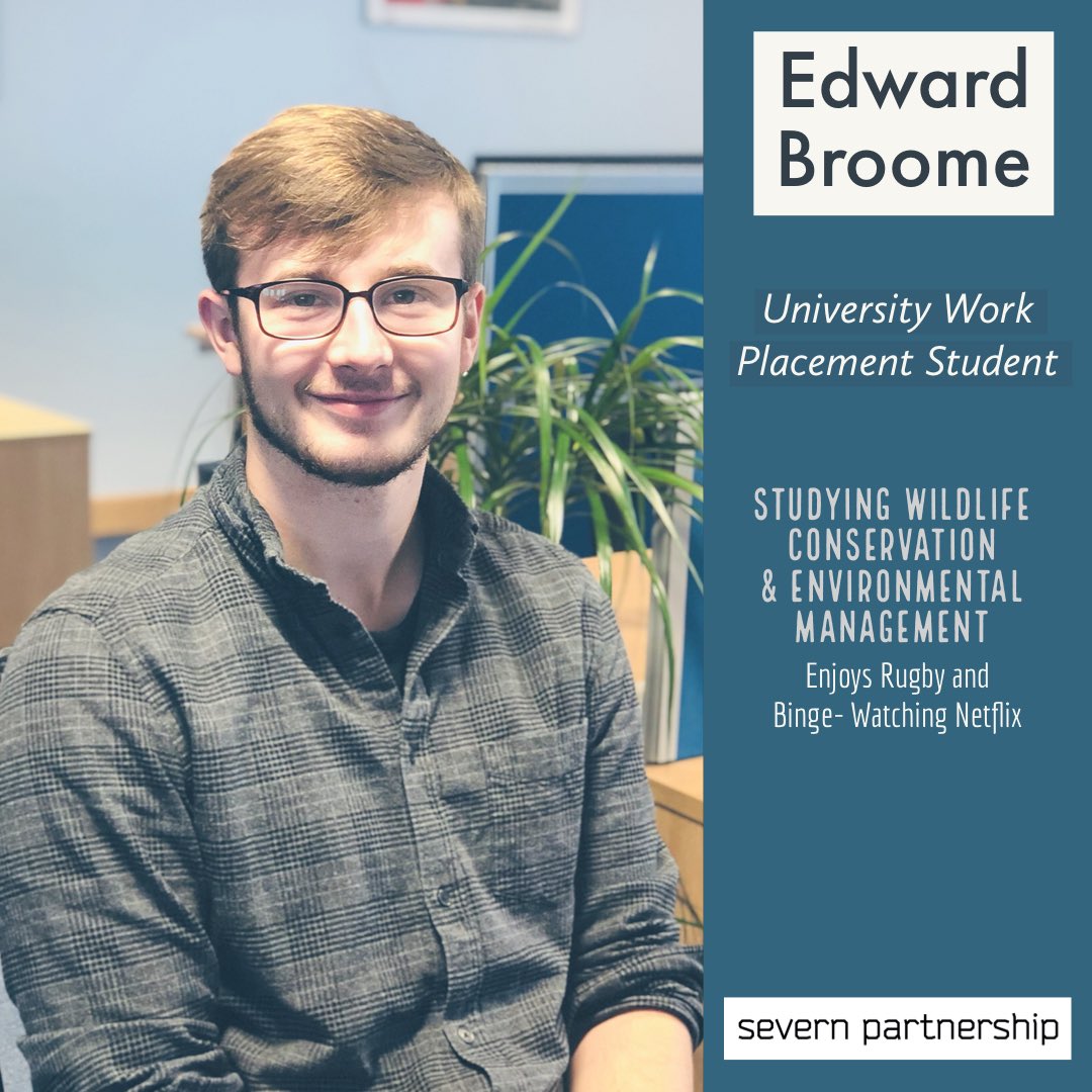 Scan2BIM tweet media