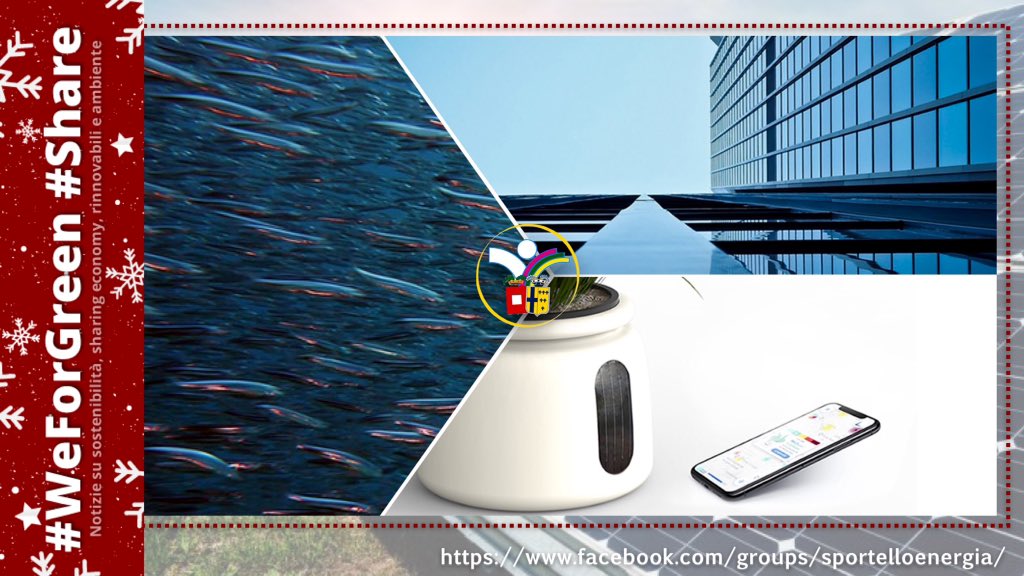 servizioenergia's tweet photo. Notizie su #sostenibilità, #ambiente e #rinnovabili da #WeForGreen nella newsletter di giovedì 5 dicembre 2019:
# MarinaTex, bioplastica dagli scarti di pesce.
# Raffreddamento passivo.
# Arianna, il vaso da balcone che combatte l’inquinamento.
… → https://t.co/Pc48Mjg2x9 https://t.co/KovG105B9X