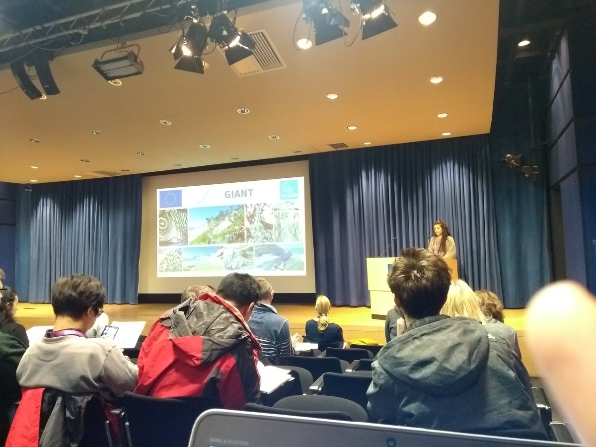 MMEG2025 tweet media