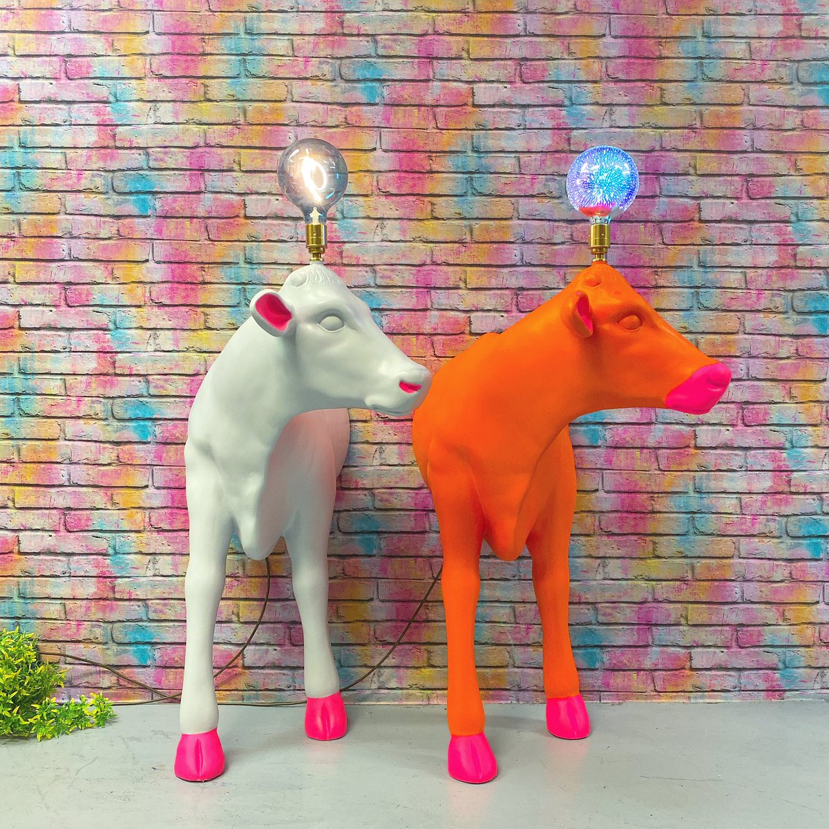 mucknbrass's tweet photo. Because these cold days need some neon. Our cow front lamps are back in stock and ready to brighten your winter 
https://t.co/fBZUbkxIiV
#interiordesign #ChristmasIsComing #partytime https://t.co/vM8Ulhpl5m