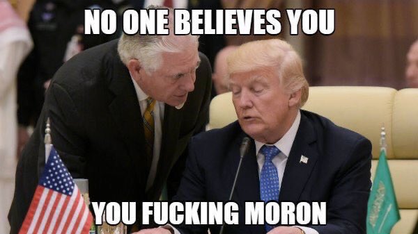 wwchbergs's tweet photo. @HillaryClinton Scaring how you Trumpers distorted your sense of reality. Trump broke the law and misdemeanor against the constitution, can we now please have a sane person in the whitehouse? #TrumpIsALaughingStock
#LaughingstockofTheWorld
#CleanWhitehouse https://t.co/3Hk7MRPjq0