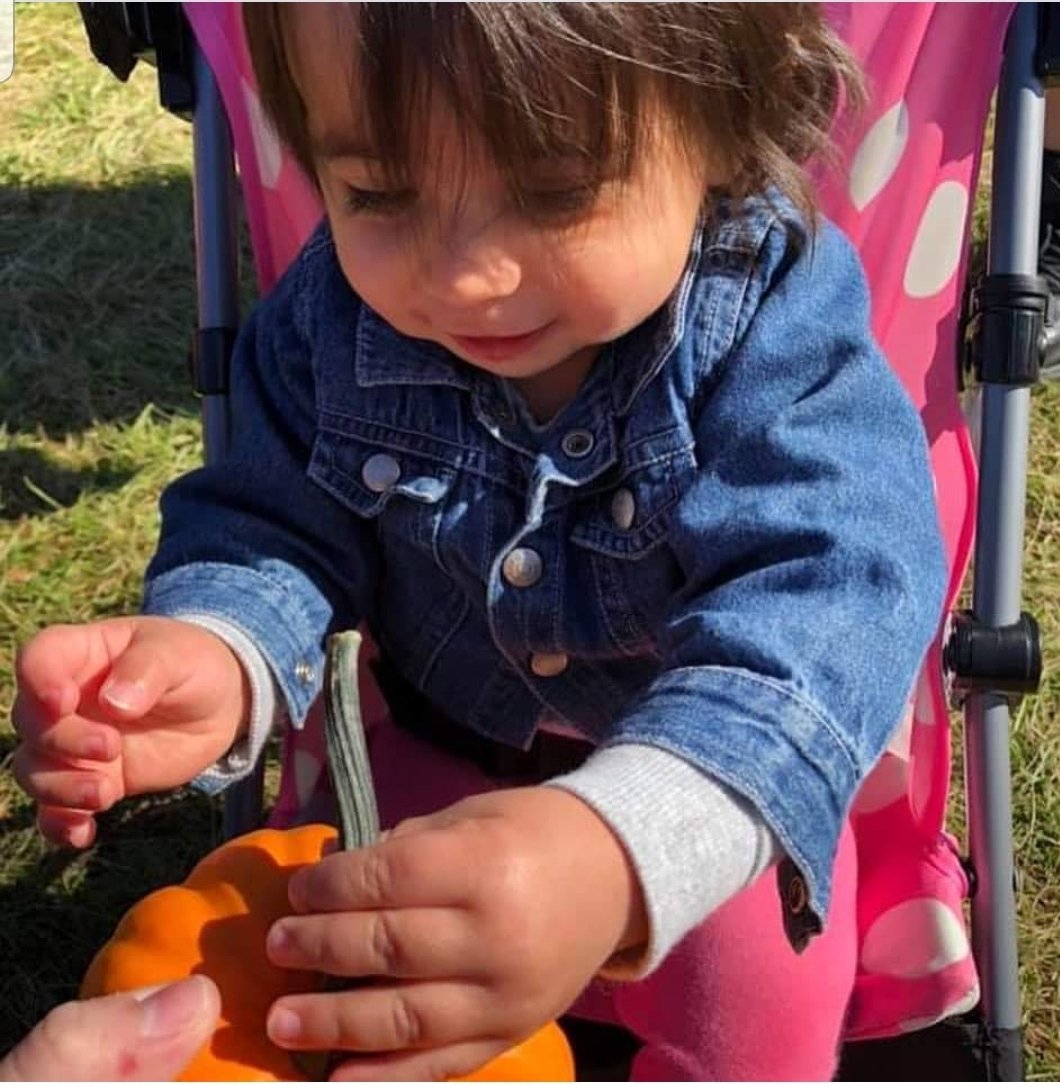 BE ON THE LOOKOUT. These are new pictures of 1 year-old Venessa Morales, given to me by her family.  Venessa is missing from #Ansonia