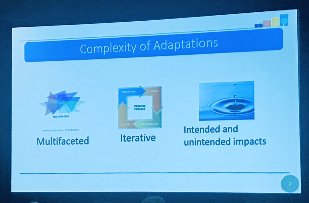 stephkbrewer's tweet photo. So much fun listening to this panel at #DIScience19 about how #adaptation is advancing #impsci ! Can't wait to read @AlexisKirk88 's paper on how to identify core functions of interventions before making adaptations @ImpactFPG @ImpSciUW https://t.co/For8B2kDtj