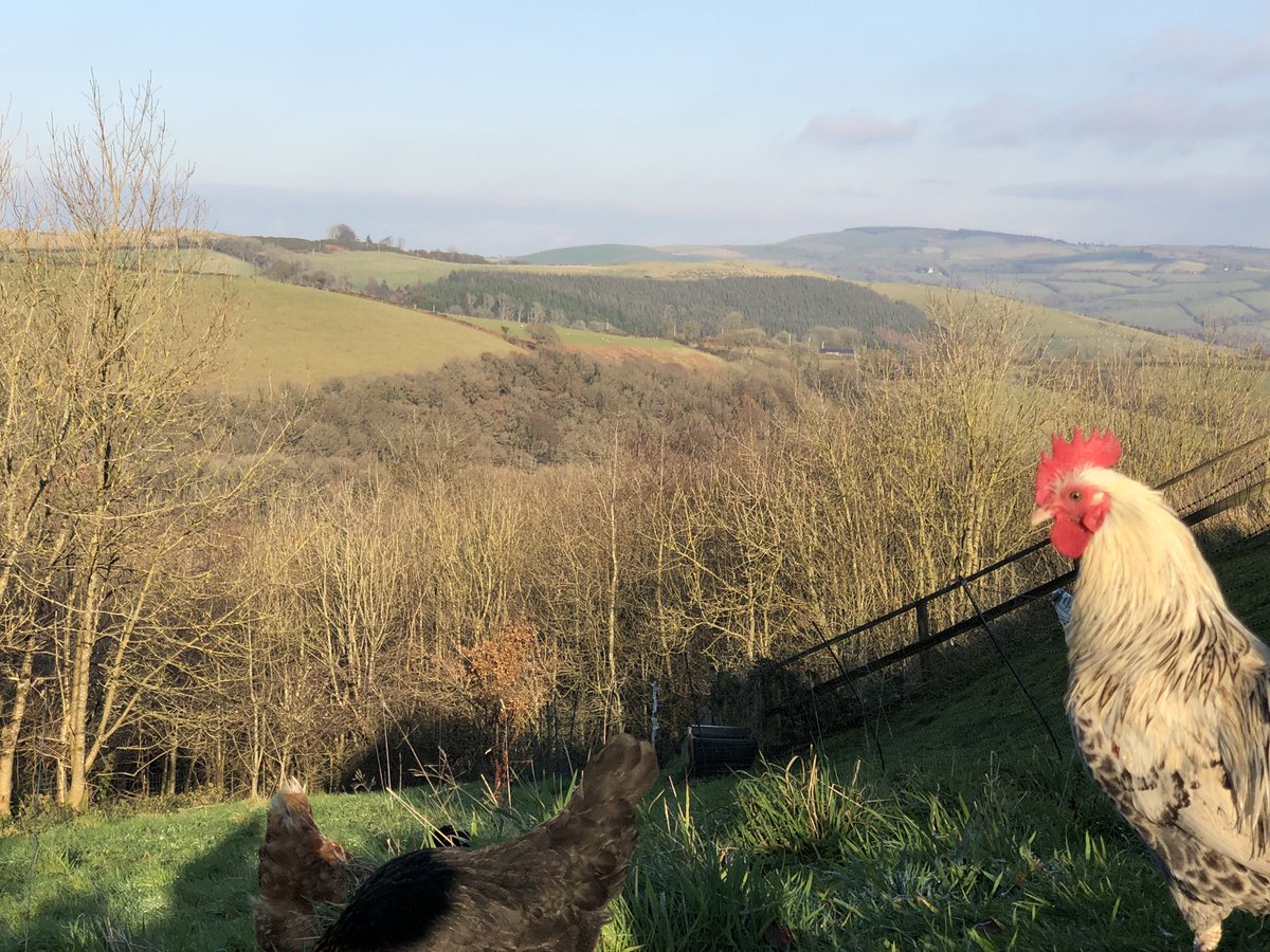 Views from Treberfedd #ceredigion #wales #holidaycottages