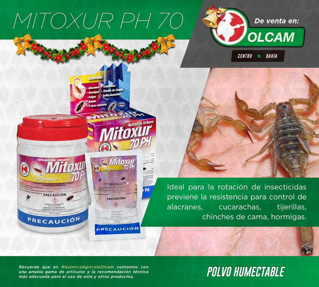 OlcamMX's tweet photo. Contra cucarachas, chinches de cama, alacranes, cienpiés, hormigas, tarántulas, pulgas, arañas, garrapatas y demás insectos rastreros en tu hogar o negocio #Mitoxur70PH sin aroma, ni manchas.
#QuimicaAgricolaOlcam te desea felices fiestas.
#Acapulco #Olcam #FelizJueves https://t.co/ifF8EMGMfq