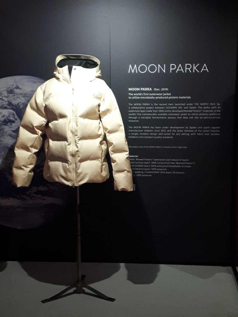 the moon parka