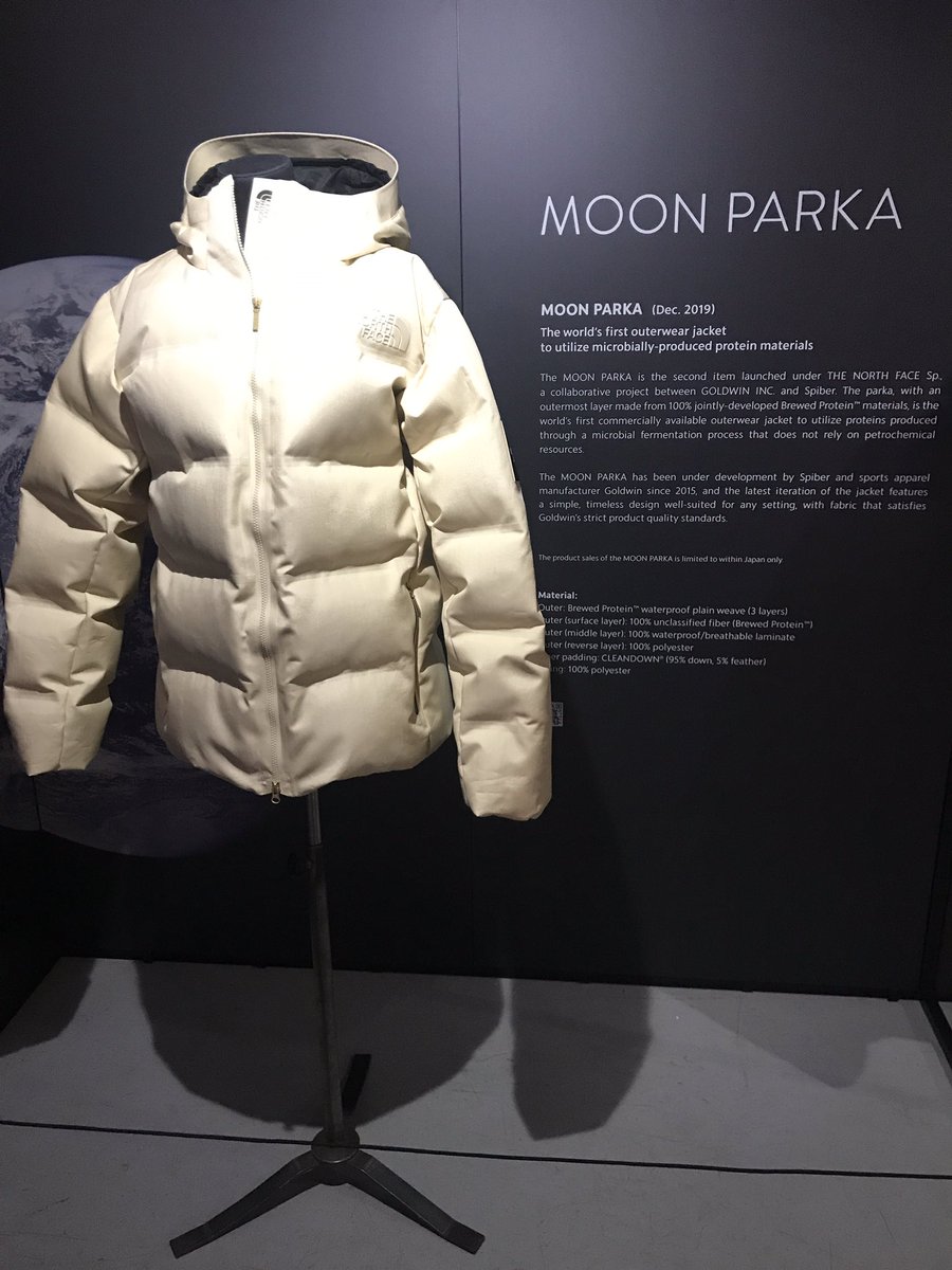moon parka north face price