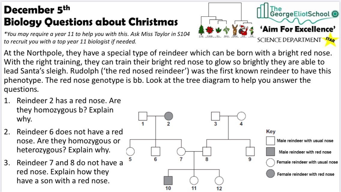 GEA_Science's tweet image. Happy 5th December everybody! Enjoy day 5 of our Science Christmas Challenges! #AimForExcellence #STAR #AwesomeScience #ScientistsOfTheFuture 👨🏻‍🔬👩🏼‍🔬🕵🏽‍♂️👍🏼😎