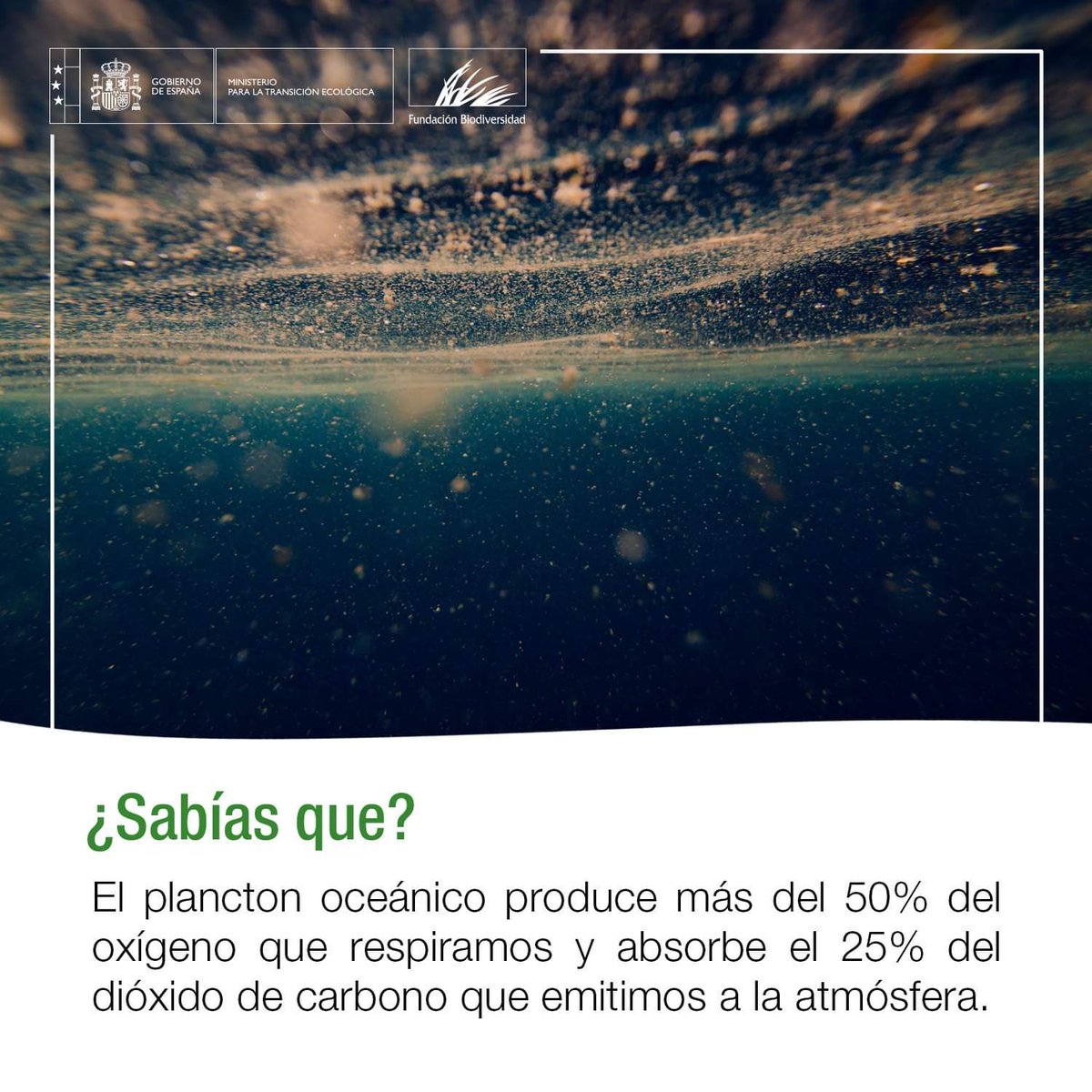 ManadaNomada's tweet photo. https://t.co/tIzxldntky