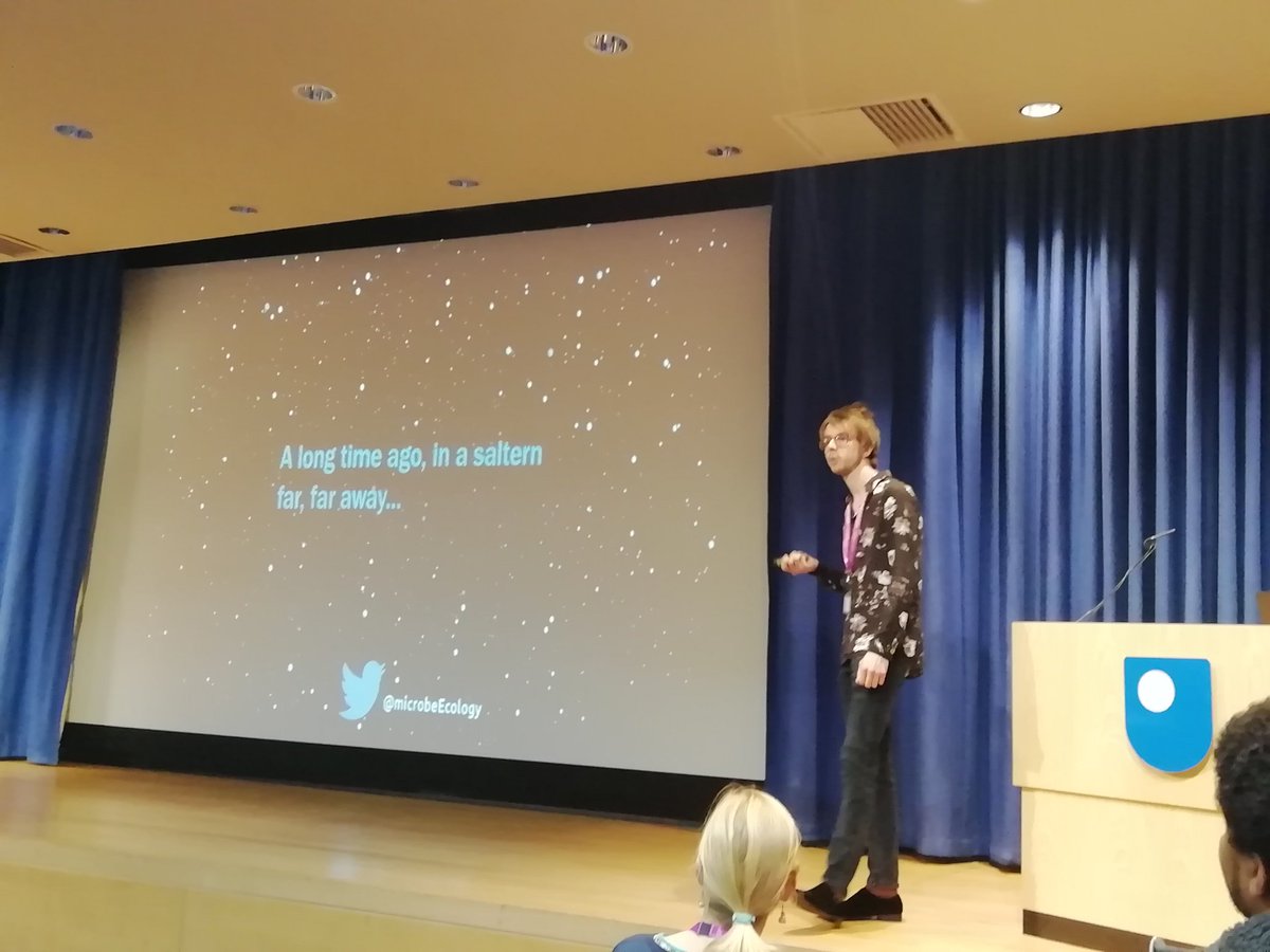 Maria Magliulo tweet media