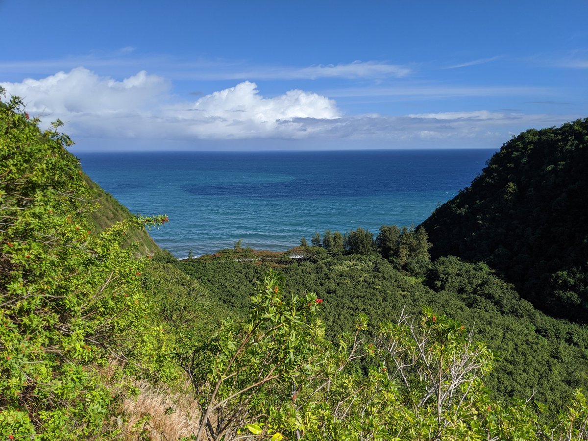 ryanbindc's tweet photo. Woke up early to head north on The Big Island to hike this beautiful trail. Of course, I decided to walk further than the actual trail and my @fitbit (which has been getting a workout) said I ONLY did 142 floors... #downupdownupdownup https://t.co/RrJ052fGDJ