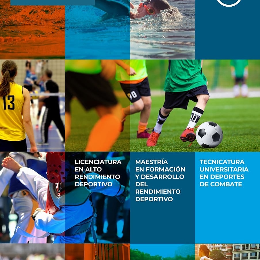 Inscripciones 2020. No te quedes afuera ! 
Mas info masterdesarrollodeportivounlz@gmail.com
Web altorendimientodeportivo.com

#deportes #educacionfisica #Entrenamiento