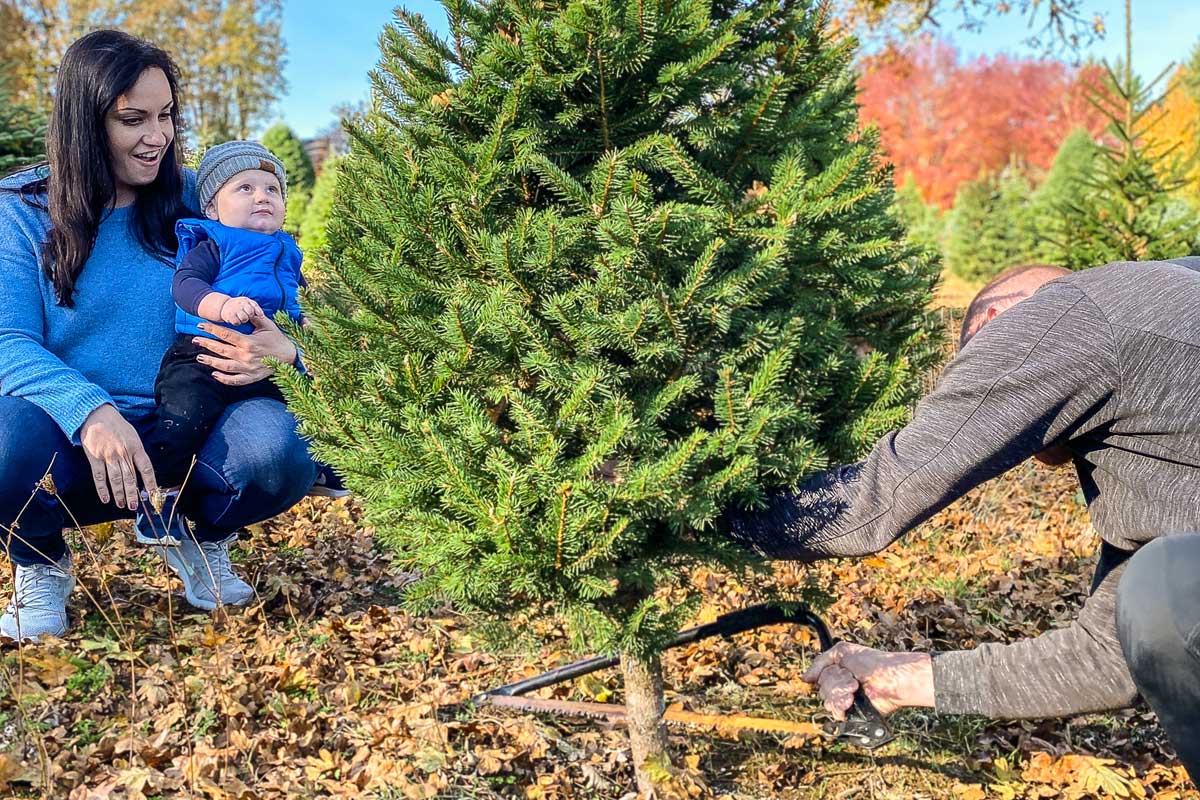 Make new holiday traditions in the Willamette Valley. Here's how with @oregonwinetrav: bit.ly/35G34rq