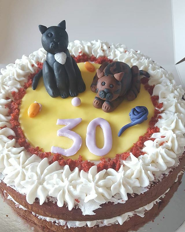 FlosKitchenuk's tweet photo. A cute fondant cat cake for a big birthday 🐱
https://t.co/I9v4zujQVg 
#vegan #cake #pretty #colours #bakes #food #veganuk #cat #birthdaycake #redvelvet #northamptonshire #shoplocal #supportsmallbusiness https://t.co/Z7jAKn8Dng https://t.co/bzpgLsL3D1