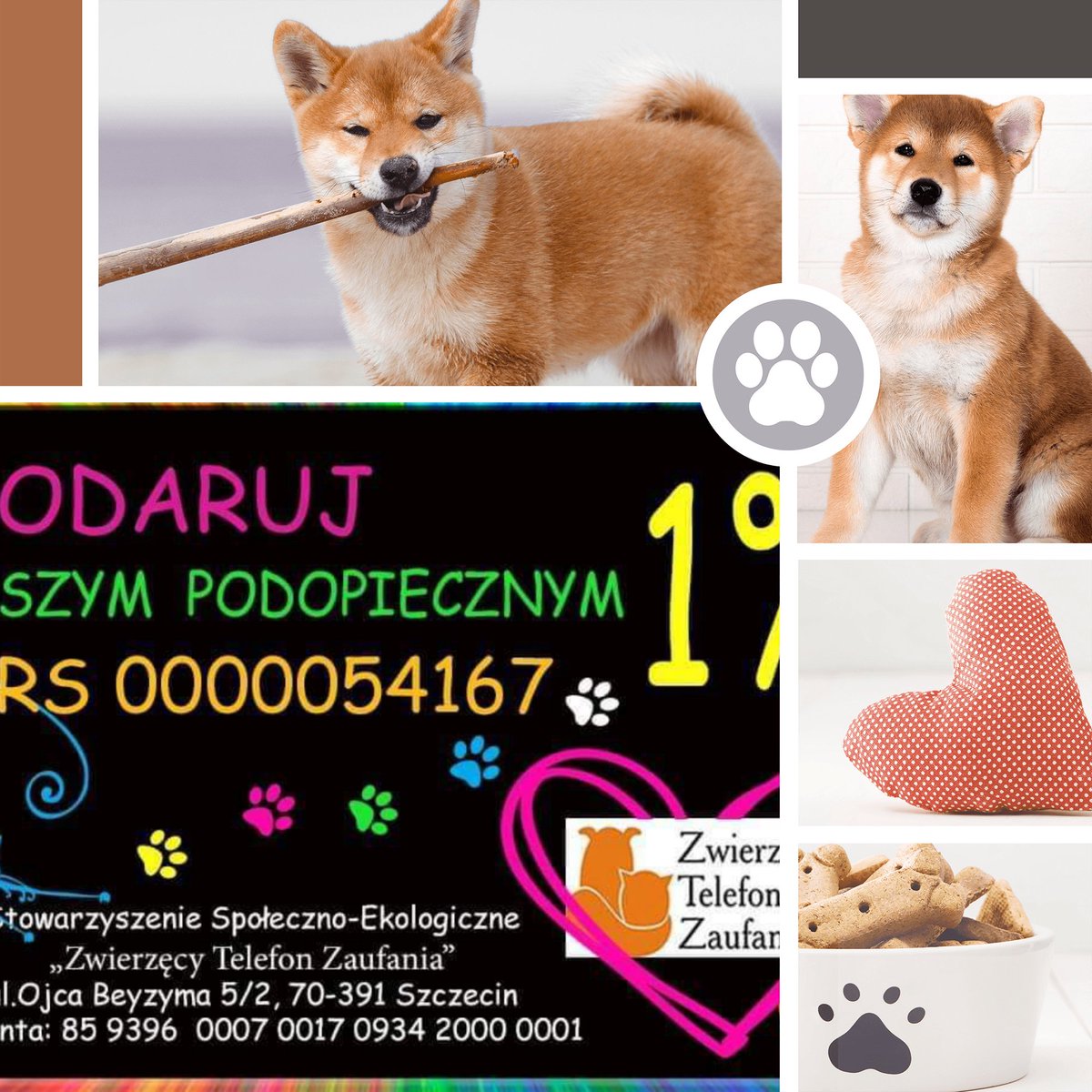 bercia100's tweet photo. W Szczecińskim oddziale NFZ prowadzona jest zbiórka dla Zwierzęcego Telefonu Zaufania - Stowarzyszenie Społeczno - Ekologiczne. I muszę powiedzieć że jestem dumna że pracuję z ludźmi niesamowicie wrażliwymi i o wielkim sercu. #KOT #pies #zbiórka #nfz #pomagam https://t.co/vR5m7C6OrB