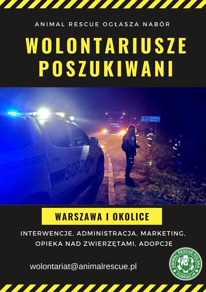 AnimalRescuePL's tweet photo. Ostatnia rekrutacja do SORZ I ARP https://t.co/zBC3k2xg9s https://t.co/eJGsZygk8q