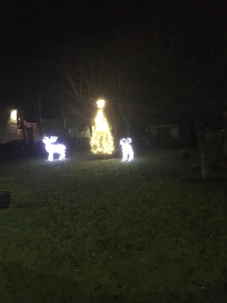 Tanfield In Bloom tweet media