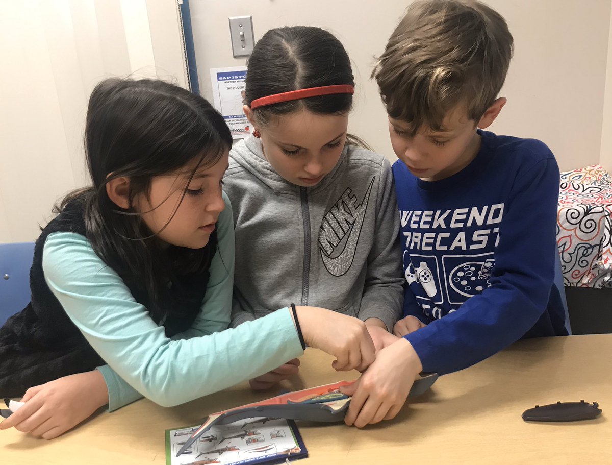 MrsGreenGifted's tweet image. Thank you @FoundationBASD ! We loved doing this project! #sharkmodel #gifteded @BethlehemAreaSD   @BASDLincolnCS