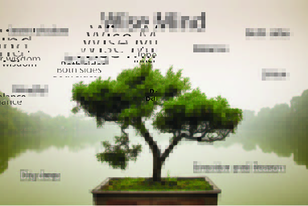 InspiredMindsWC's tweet photo. The #balance between our emotion mind and reasonable mind is #wisemind. It is from here that we can respond to situations, find our #intuition and make decisions. #mindfulness #emotionmind #reasonablemind #dbt #dbtskillfortheday https://t.co/vNDzJbo2Aj