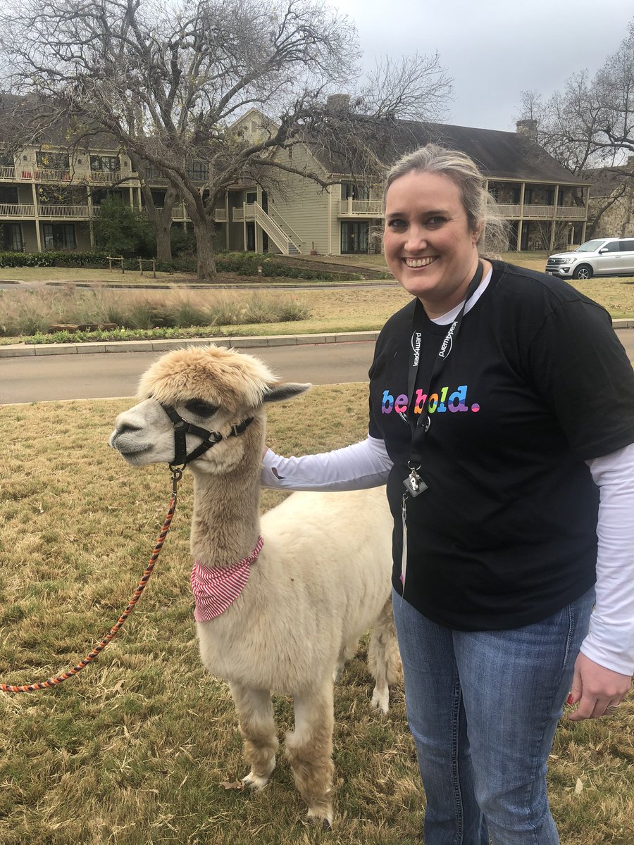 teachtwilliams's tweet photo. Yesterday puppies, today alpacas!!!!  #bebold4kids #think2019 https://t.co/bteoevr1Gy