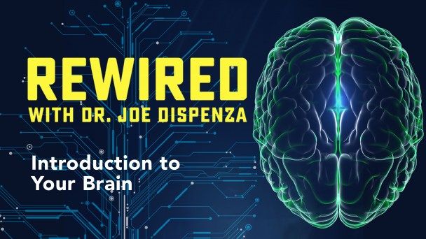 Trans4mParadigm's tweet image. We are marvels of change! 
Tune in to this epic series as Dr. Dispenza reveals the secret formulas for rewiring your brain and building coherence with your being.
Watch the First Episode FREE for 72 Hours

buff.ly/2Rd9Pg8