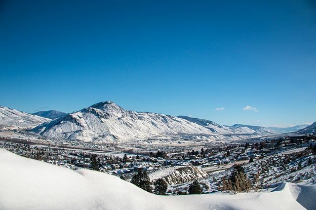 TRU World 🌎 tweet media