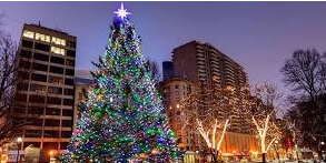 Boston_C_Garage's tweet photo. Tonight is the Boston Common Tree Lighting Ceremony! Don't miss it. Park right at the commons with us! #BostonCommonGarage https://t.co/UEYlL4rlLY