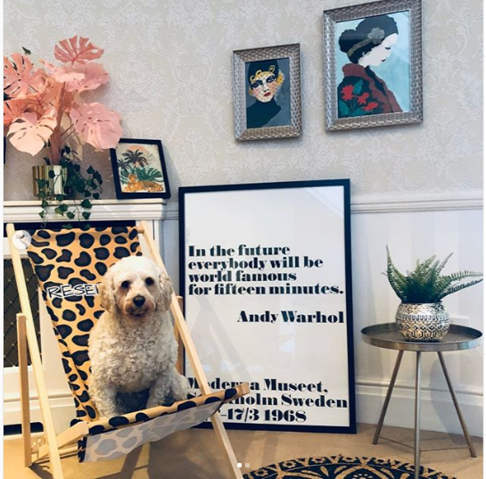 Shall we give Teddy his well-deserved fifteen minutes of fame? 🐶 #TreasureSeeker @anarchyofthedeckchair has created a picture-esque scene with this statement print that she picked up in store  via @anarchyofthedeckchair on Instagram