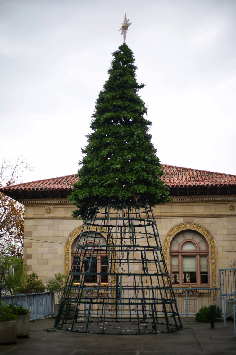 Northgate San Francisco’s first annual Christmas Tree lighting is this Friday! We can’t wait to celebrate with everyone!