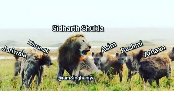 AAZIB001's tweet image. Only Dogs Wander As A Group, The Lion @sidharth_shukla Always Goes Solo
#IAmWithSidShukla 
#KeepGoingSidShukla