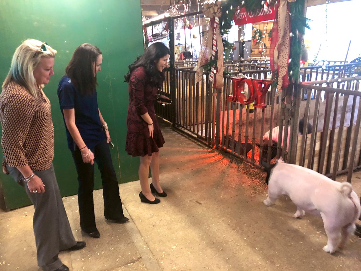 mckinneysarah2's tweet photo. We had a great time judging the pens for Santa’s Farm! We even made a new friend. 😂🐷 Come support @KingwoodFFA tomorrow night at 6pm, and #GoBlue ! @HumbleISD_KHS https://t.co/c4apeSchMf
