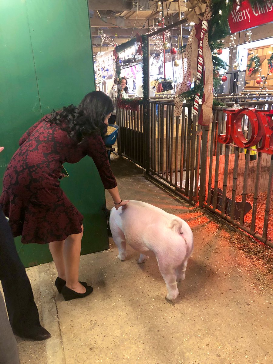 mckinneysarah2's tweet photo. We had a great time judging the pens for Santa’s Farm! We even made a new friend. 😂🐷 Come support @KingwoodFFA tomorrow night at 6pm, and #GoBlue ! @HumbleISD_KHS https://t.co/c4apeSchMf