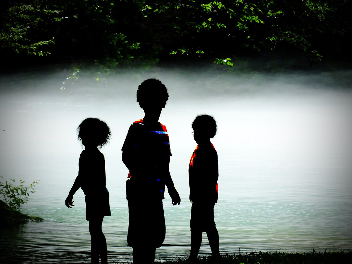 perspectivebySB's tweet photo. Mystified - "Live free, child of the mist,- and with respect to knowledge we are all children of the mist." ~Henry David Thoreau
#mystified #mist #fog #bigsprings #MO #bluesprings #floodedspring #children #photography #wildlife #nature #naturalbeauty #naturalart #perspectivebysb https://t.co/sQod4sBOji