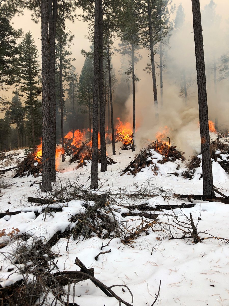 SantafeNF's tweet photo. Sharing some of the good work on the #Jemez Ranger District where #fire crews are taking advantage of good conditions - including #snow on the ground - to burn #piles to reduce the risk of #wildfire in the 2020 fire season. #prescribedfire #workfornature https://t.co/8sVscTgdSc