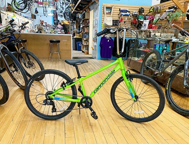 boxdogbikes tweet media