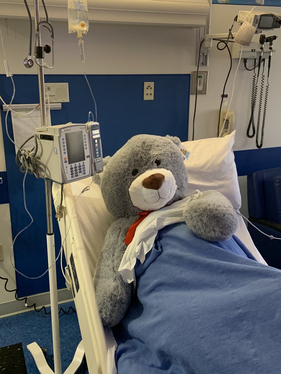 ScottSantel's tweet photo. LOVE that I work for a company that fosters an environment in giving! Not a better cause than giving to @EastTNChildrens One Teddy Bear 🧸 was waiting on a patient to return to her room! Who’s got the best job??? I 💁🏻‍♂️ do!!!! @jaybisping @shancock83 @DustonAllisonHD @THD_HXT https://t.co/BuTpT6u5ql