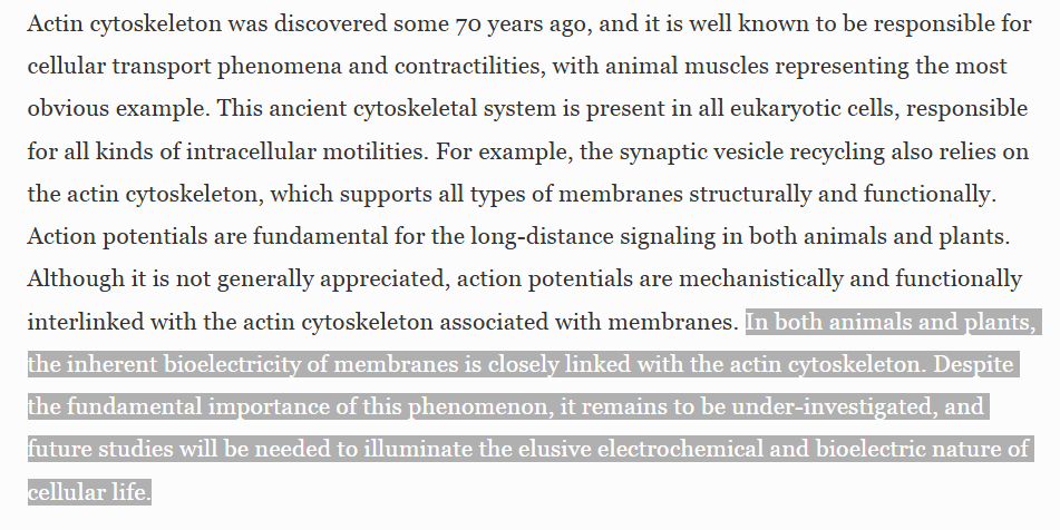 Felix Scholkmann (@fscholkmann) on Twitter photo Actin Cytoskeleton and Action Potentials: Forgotten Connections -> link.springer.com/chapter/10.100… <a href="/drmichaellevin/">Michael Levin</a> <a href="/Shamits/">Shamit Shrivastava</a> <a href="/mcer33/">Michal Cifra</a> <a href="/SalariVahid/">V. Salari</a> <a href="/anirbanbandyo/">AnirbanBandyopadhyay</a> #neurobiophysics #neuroscience Actin Cytoskeleton and Action Potentials: Forgotten Connections -> link.springer.com/chapter/10.100… <a href="/drmichaellevin/">Michael Levin</a> <a href="/Shamits/">Shamit Shrivastava</a> <a href="/mcer33/">Michal Cifra</a> <a href="/SalariVahid/">V. Salari</a> <a href="/anirbanbandyo/">AnirbanBandyopadhyay</a> #neurobiophysics #neuroscience